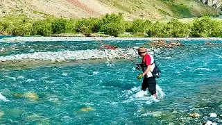 Incredible brown trout fishing small stream on the planet || gilgit baltistan || Pakistan 