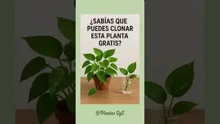 Cultiva tu Mundo Verde 🌿 | Semillas, Esquejes y Secretos de Plantas que Amar&aacute;s