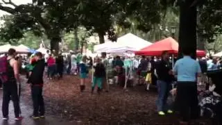 St. Patrick's Day from Chippewa Square