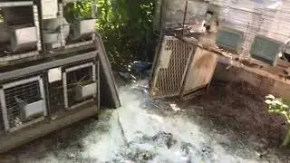 Using Lime to Dry Up Muddy Areas and Control Odors