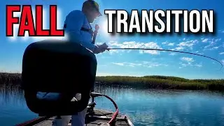 Lake St Clair Bass Fishing Fall Transition Report