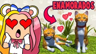 ENCONTRANDO EL AMOR VERDADERO *MODO GATO* 😺 - CAT SIMULATOR
