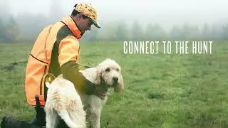 Garmin Alpha LTE | Cellular dog tracker