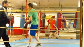 Radion boxing pads