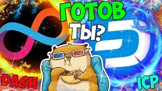 DASH ICP BTC ЭТО МОЕ ПОСЛЕДНЕЕ СЛОВО, Я БУДУ ДОКУПАТЬ ПРЯМО СЕЙЧАС, ПОТОМ УЖЕ БУДЕТ ПОЗДНО, БИТОК