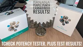 tCheck Potency Tester & Banana Purple Punch Test Results!