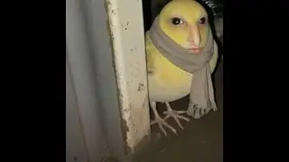 Do NOT watch this