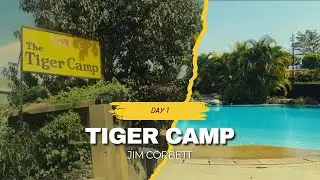 Tiger Camp Resort | Jim Corbett Resort | Premium | Vlog 100 | Chirodeep vlogs |