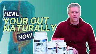 Best Supplements For  Gut Health