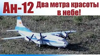 Ан-12 / Два метра красоты в небе! / ALNADO