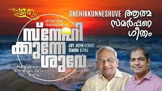സ്നേഹിക്കുന്നേശുവേ | Snehikkunneshuve | Malayalam Christian Devotional Song 2023 | Joy John Kuwait