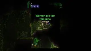 Women are too feminine #terraria