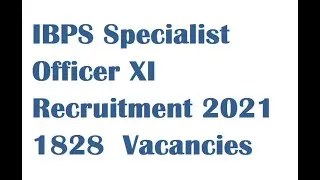 IBPS Specialist Officer XI Recruitment 2021 &ndash;  1828  Vacancies
