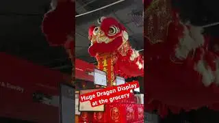 Огромная инсталляция с драконами #китайскийновыйгод #2026 #короткометражки #короткоевидео #коротк...
