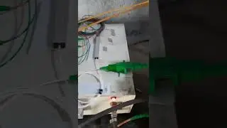 WDM