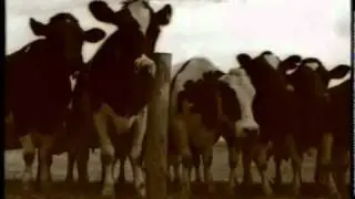 Oldesloer Korn Spot 5