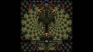 Alchemy Circle - Imperial Catharsis (Space Organ Rmx) | 138bpm