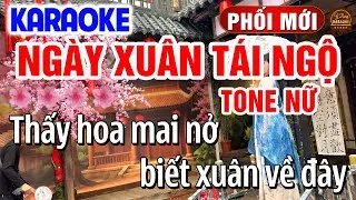 Ngày Xuân Tái Ngộ Karaoke Tone Nữ Dễ Hát Nhạc Tết 2026 | Y Dung Karaoke