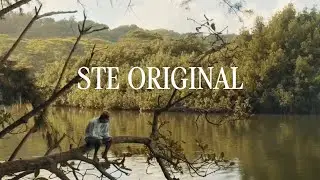 ste original