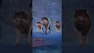 😡Humans Abuse Dog, Wolves Save Dog😢#straydogs #dog #wolf #animalrescue