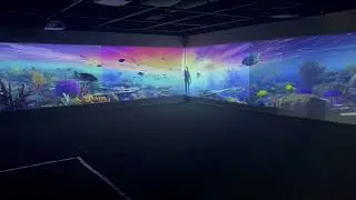 JCU Innovation: Computer Assisted Virtual Environment (CAVE)