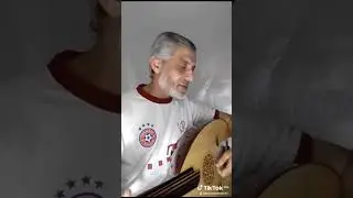 لى بالمدينة أحباب