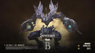 B Rank - Severian [Hunt Location & Fight]