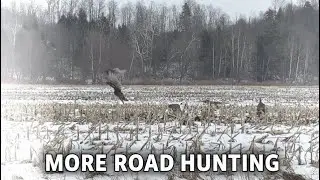 ROAD HUNTING ON THE BOSSES TIME