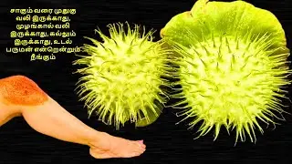சாகும் வரை முதுகு வலி இருக்காது, முழங்கால் வலி இருக்காது, கல்லும் இருக்காது, உடல் பருமன் என்றென்றும்