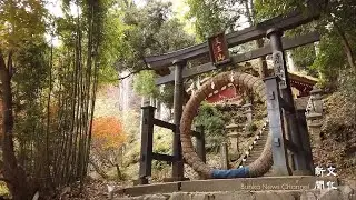 医王山薬寿院八王寺 略縁起 竹寺