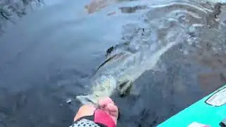 2025 LIKBF OPEN SERIES Peconic lake