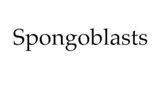 How to Pronounce Spongoblasts