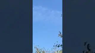 Flying Silver Orb! What Is This? #ufo #uap #flyingobject #explain #sighting #theunexplained #uaps
