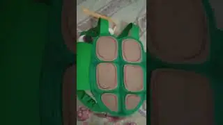 sea turtle costume for school play#youtubeshorts #diycraftideas