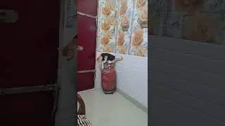 #song #tamilsong #tamil #popular #cat #funny #cute #baby #pets #sweet #mybaby #cuty 🥰👍👍