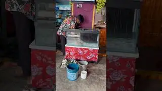 #Aquarium Clean Chesina Tharvatha Shock 😭 | 5&ndash;6 Fishes Chanipoyayi | Chintu Emotional#minivlog