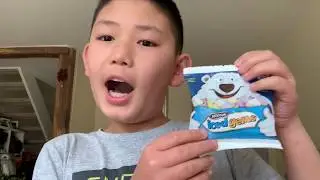 Food review 20 Mcvities iced gems