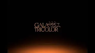 🔴 LIVE: Gala Tricolor 2026