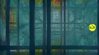 Solsan - Black Deer
