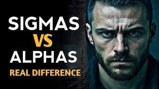 Sigma Male vs Alpha Male &ndash; The Real Difference | Sigma Energy | Alpha Mind