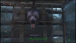 Graygarden Greenhouse Mini Tour #fallout4 #nomods