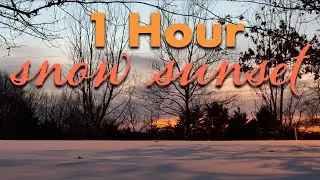 Peaceful Winter Sunset | Calm Evening in the Ozark Mountains 1 Hour Real-Time 4K 