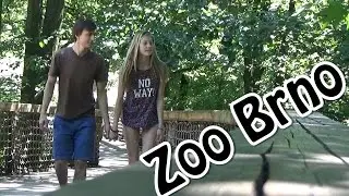 ZOO Brno 8.8. 2016