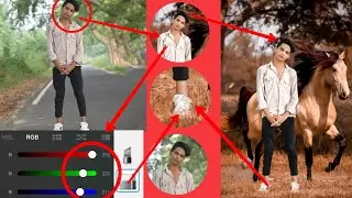 Autodesk Sketch book Horse Editing Tutorial || Picsart Amazing Horse Photo Editing ||Picsart Editing