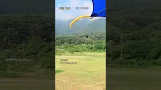 Landing Timing !! 😃😝🫡 #보령 #Paragliding #Hang gliding #Pets #좋은 글