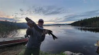 Cabin Adventures Episode 25 Part 2 - Air Ivanhoe - Paul Lake Fly In Fishing for Pike and Walleye