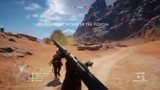Battlefield WAR PIGENES!!