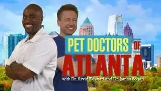 Pet Doctors of Atlanta - Episode 1