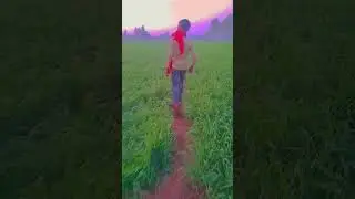 Mari jaan sarab ban gaiy m kivya