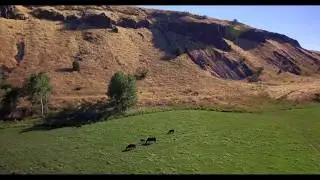 Stewart Property, Lostine, OR